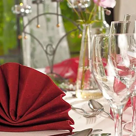 Akzent Restaurant Hirsch 3* 布拉河畔的海登海姆