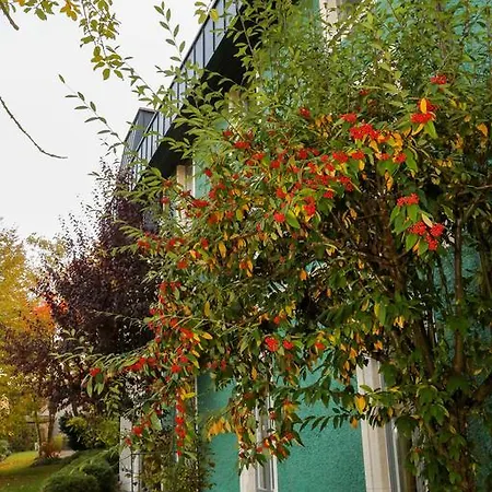 Akzent Restaurant Hirsch Hotell 3*