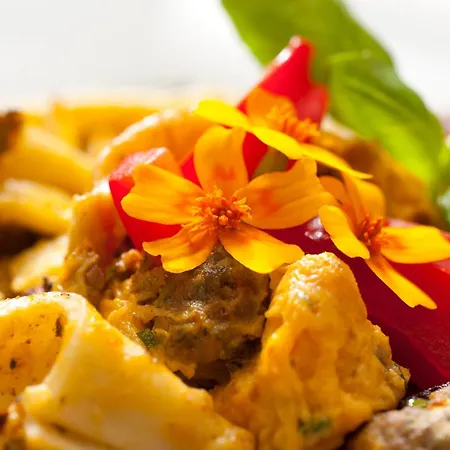 Akzent Restaurant Hirsch 3* 布拉河畔的海登海姆