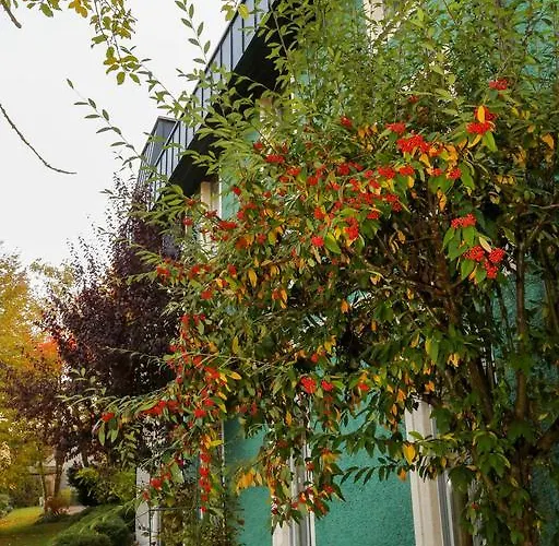 Akzent Restaurant Hirsch Szálloda 3*